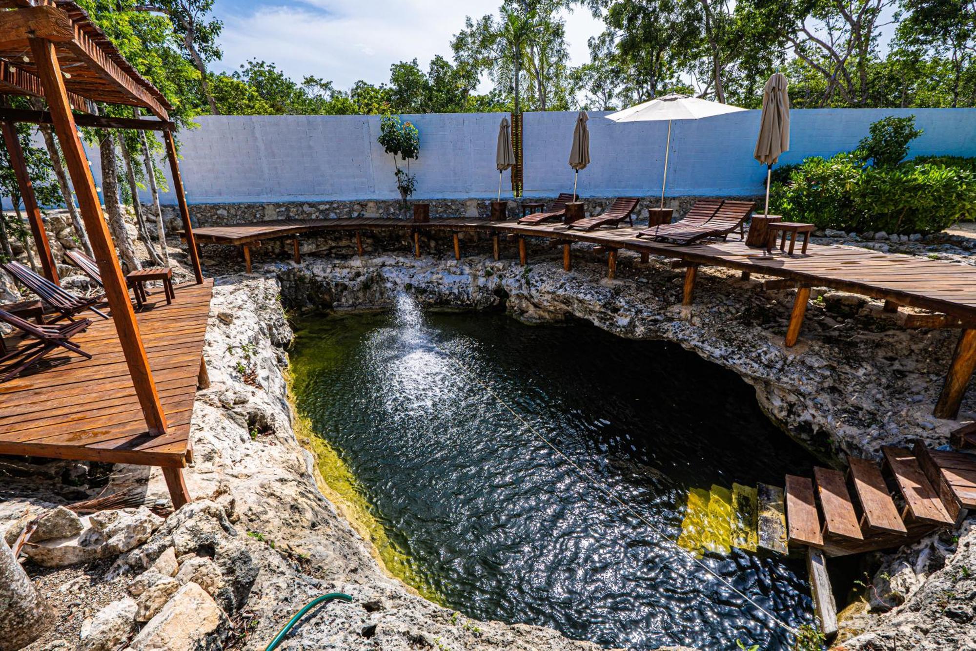 Jungle - Chakra Artbat Villa